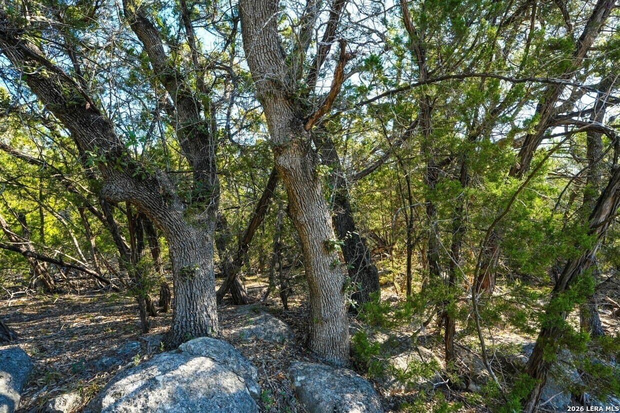 20 acres in Comal County - photo 7