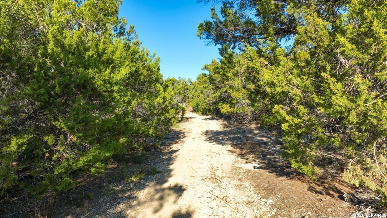20 acres in Comal County - photo 8