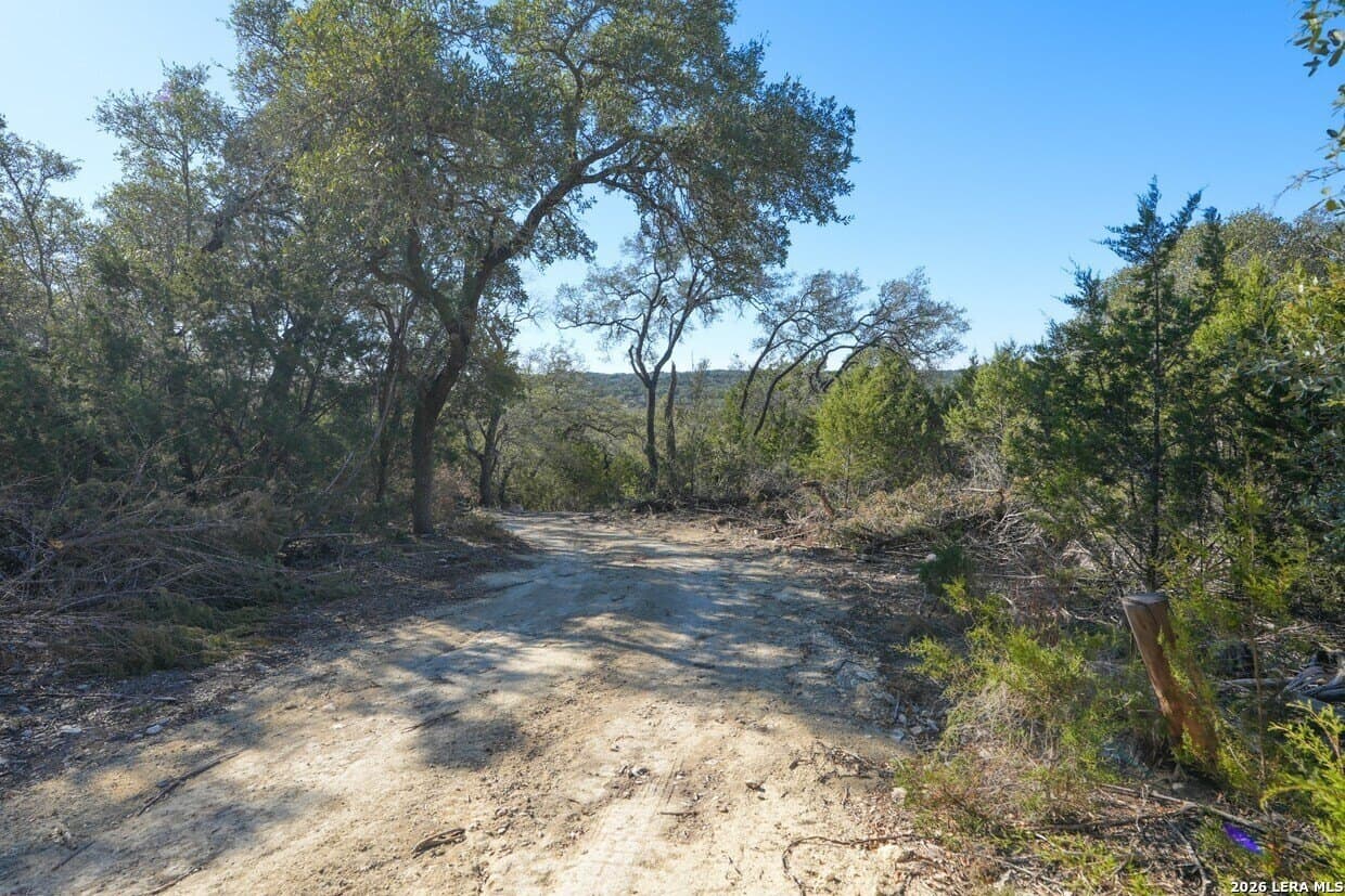20 acres in Comal County - photo 9