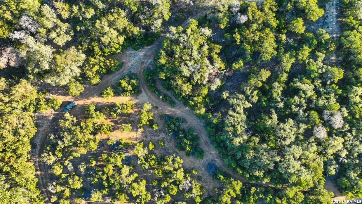 20 acres in Comal County - photo 10