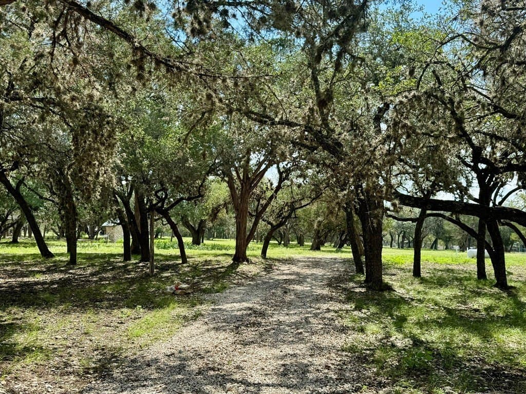 2.16 acres in Real County - photo 10