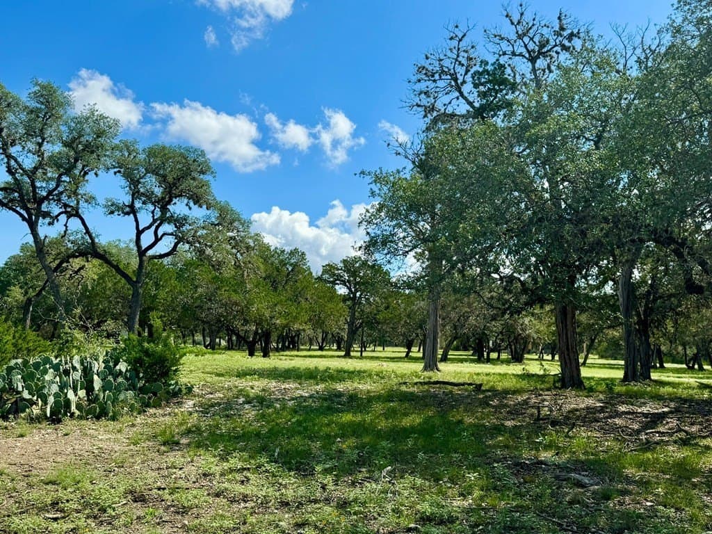 2.16 acres in Real County gallery image 2