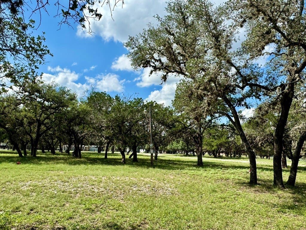 2.16 acres in Real County - photo 7