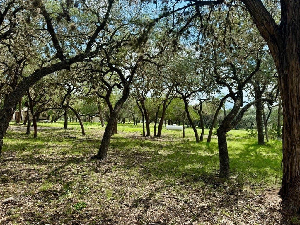 2.16 acres in Real County gallery image 3