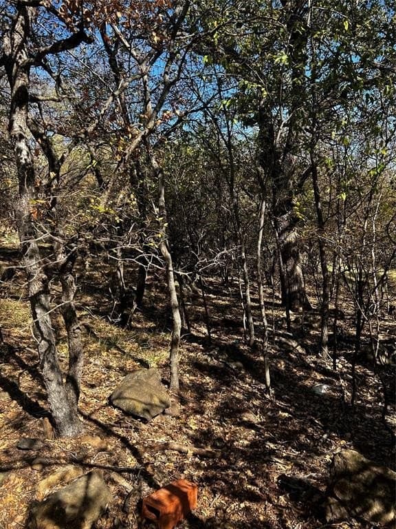 0.32 acres in Palo Pinto County gallery image 3