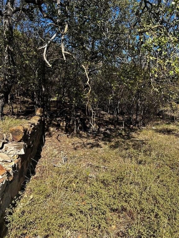 0.32 acres in Palo Pinto County gallery image 2