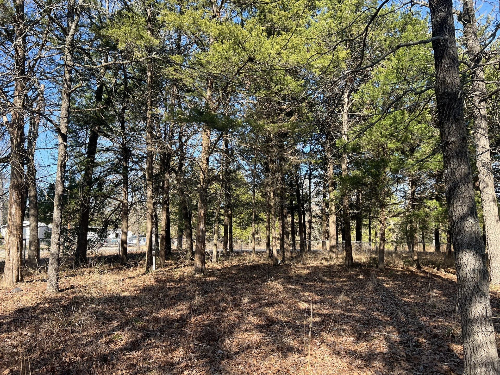0.65 acres in Van Zandt County - photo 6