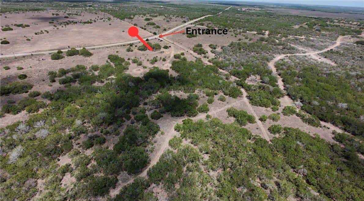 10.45 acres in Live Oak County gallery image 3