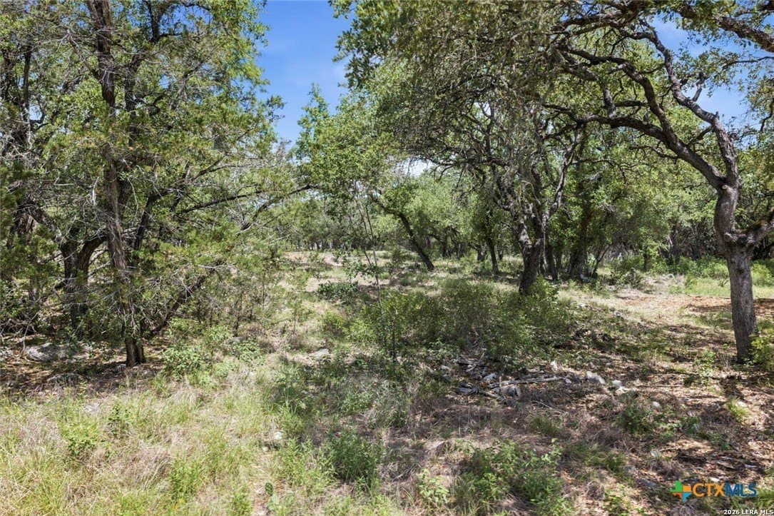 5.27 acres in Comal County - photo 9