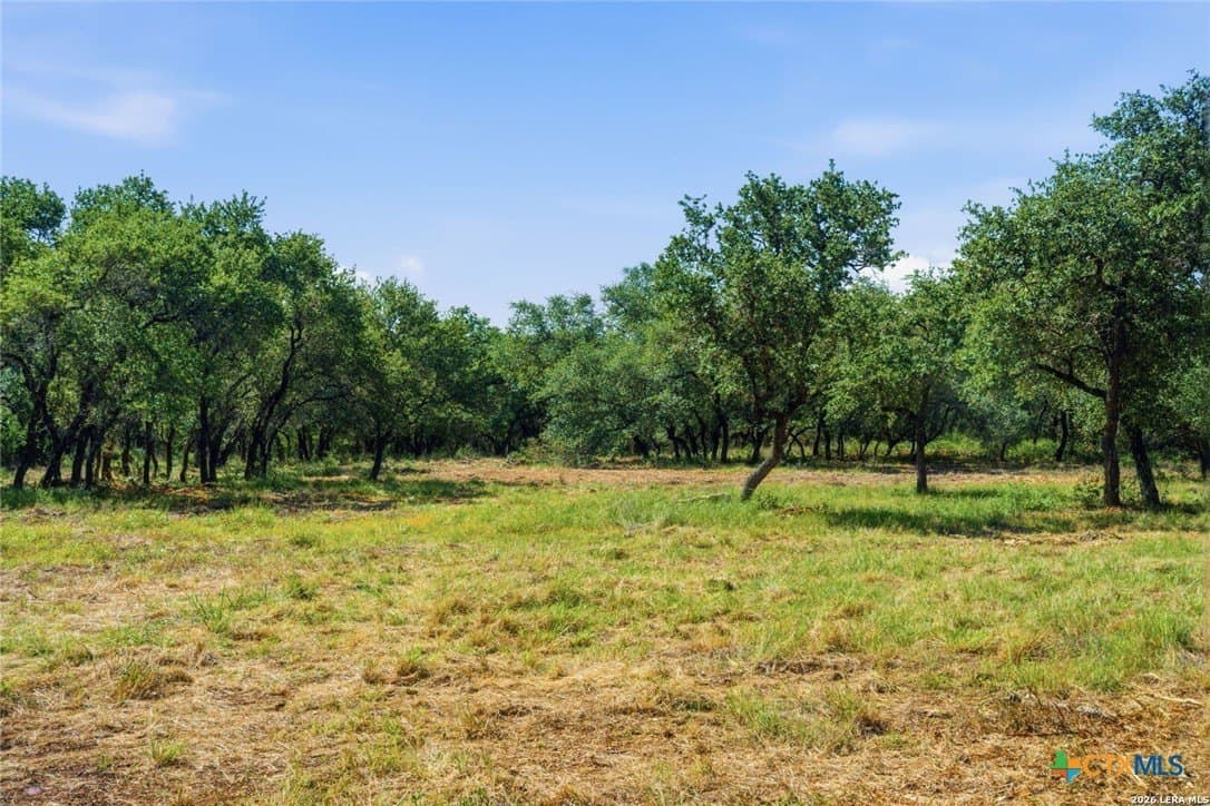 5.27 acres in Comal County - photo 5