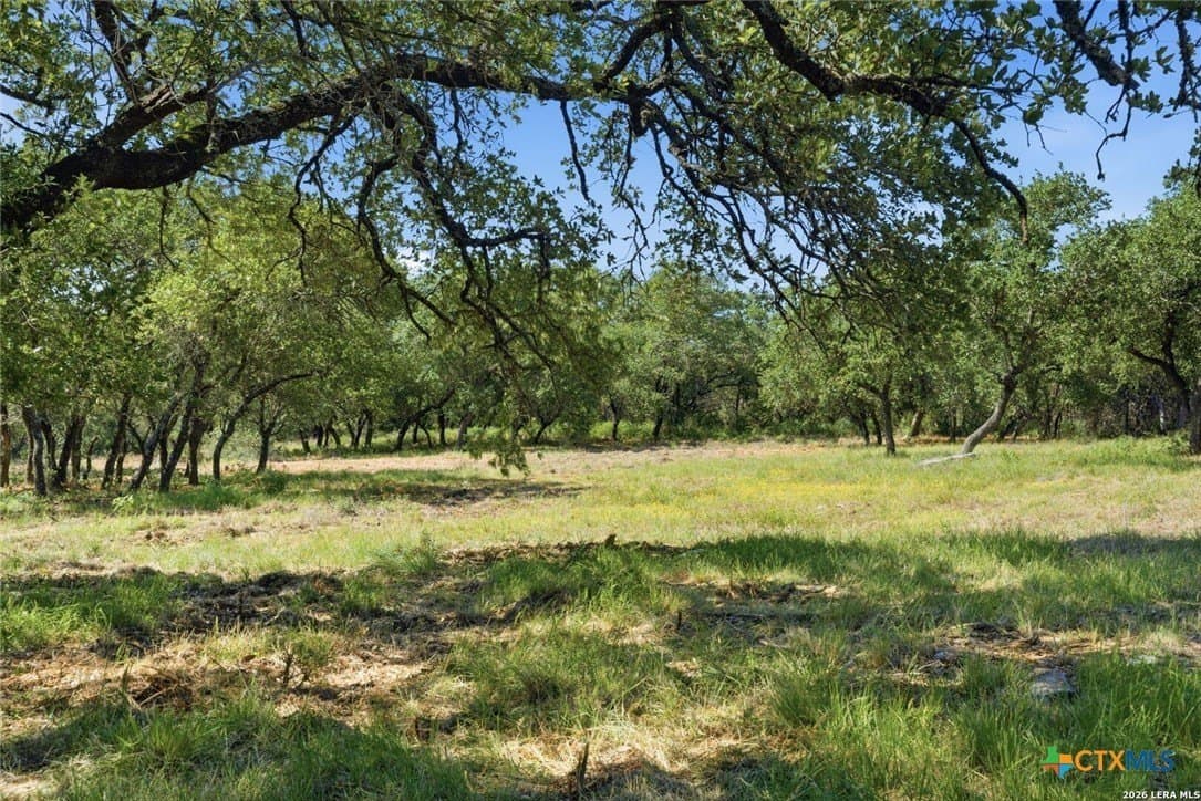 5.27 acres in Comal County - photo 4