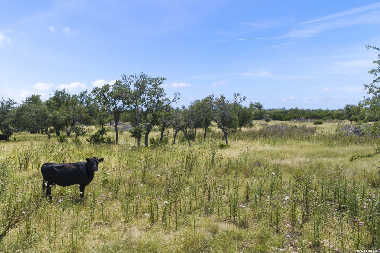 10.11 acres in Gillespie County - photo 10