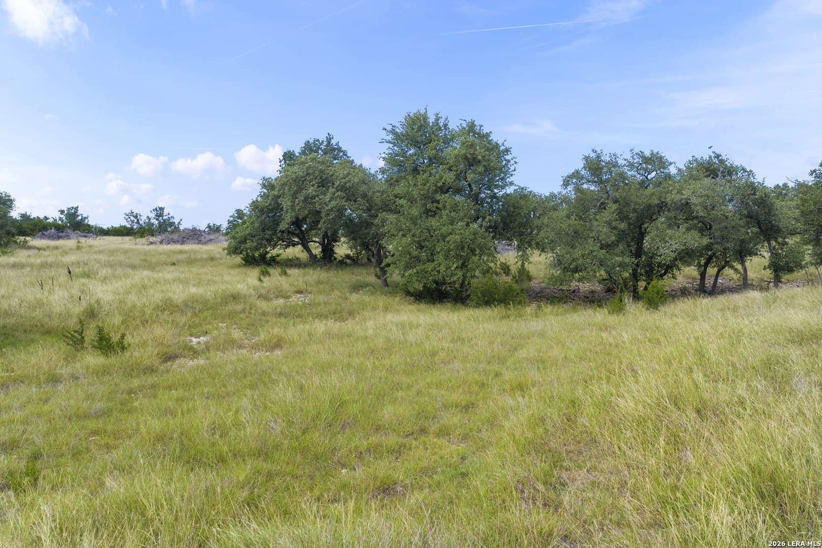 10.11 acres in Gillespie County - photo 8