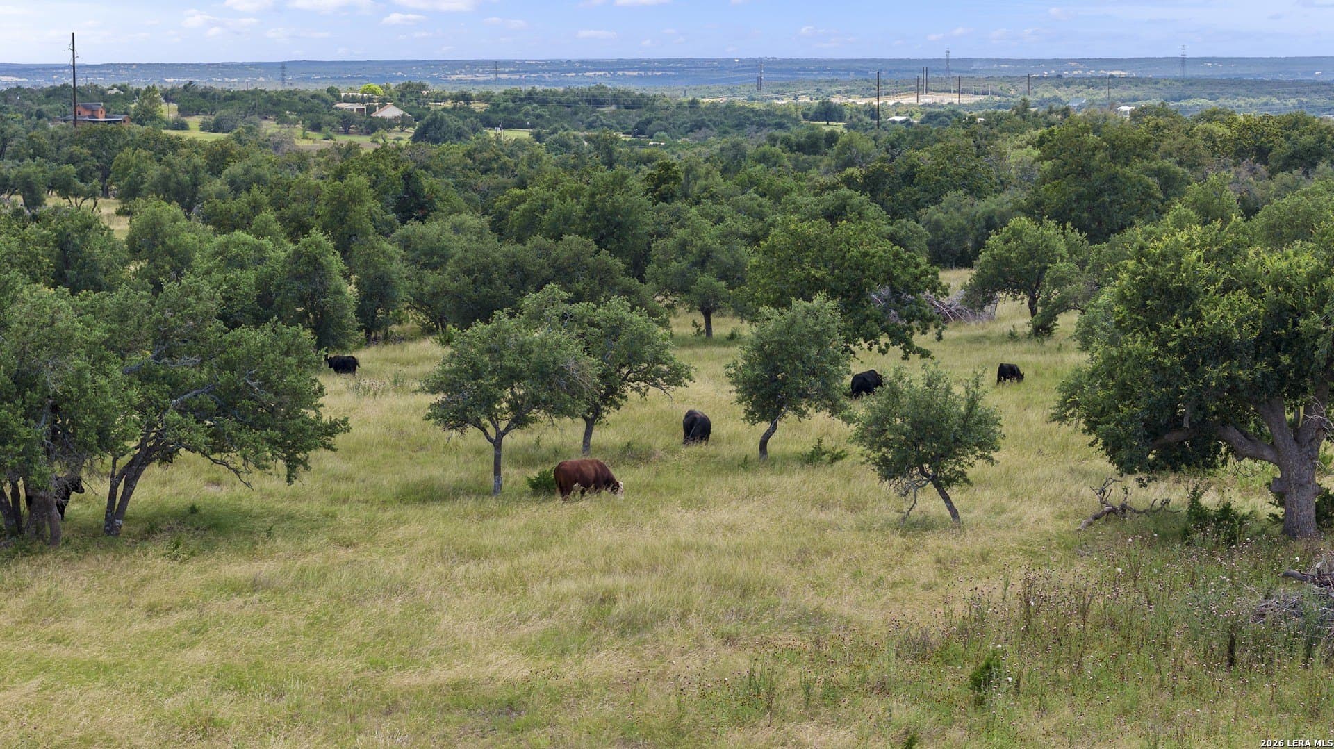 10.11 acres in Gillespie County - photo 13