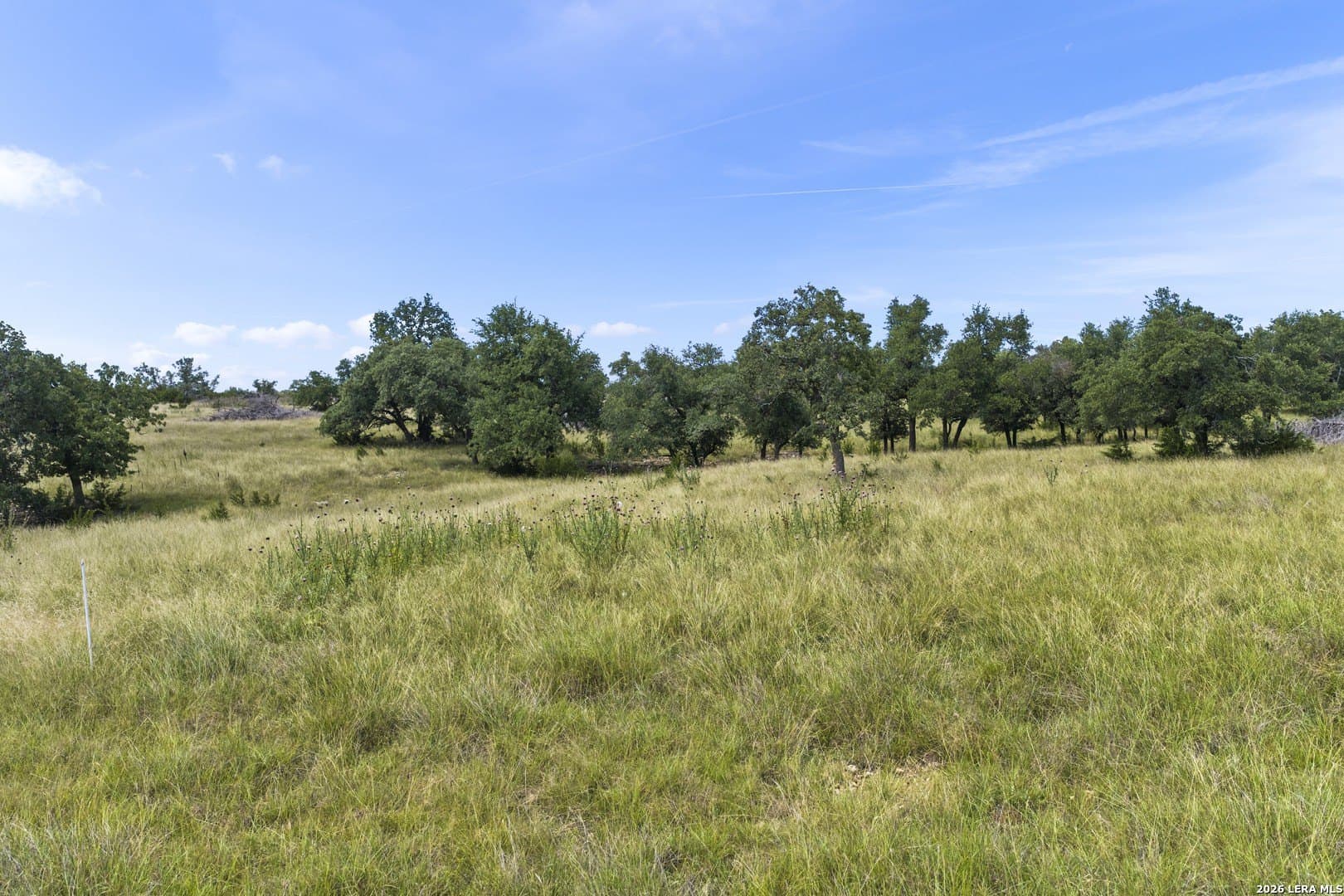 10.11 acres in Gillespie County - photo 11