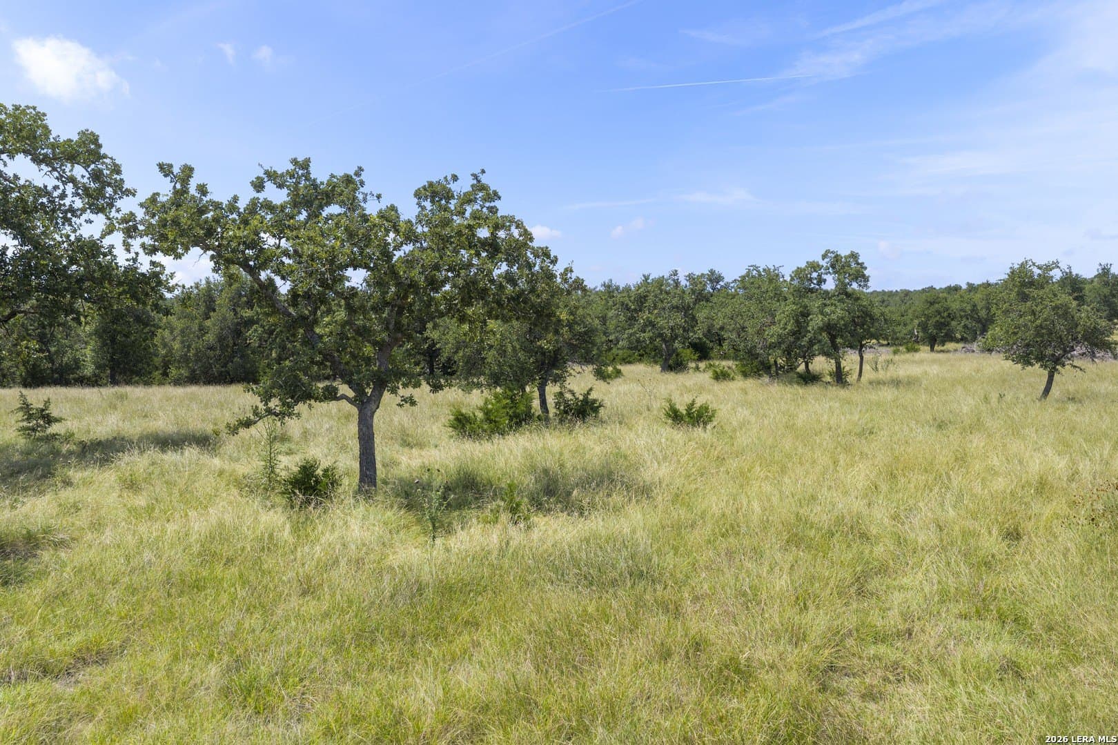 10.11 acres in Gillespie County - photo 9