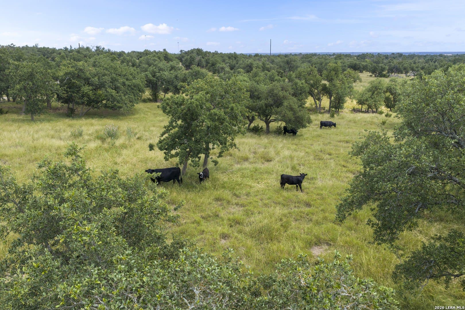 10.11 acres in Gillespie County - photo 14