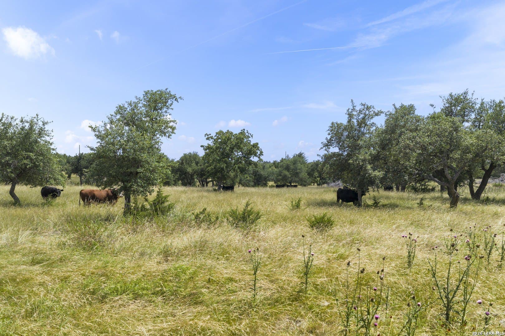 10.11 acres in Gillespie County - photo 7