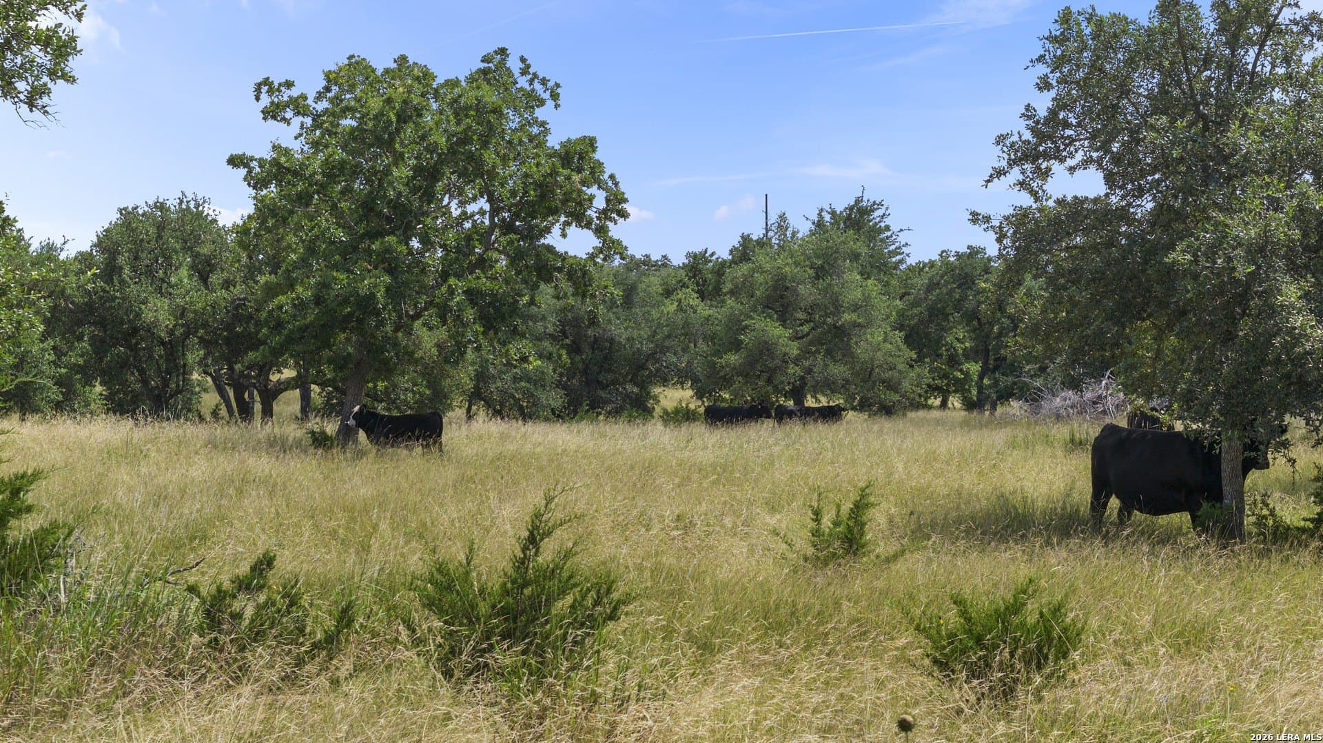 10.11 acres in Gillespie County - photo 12