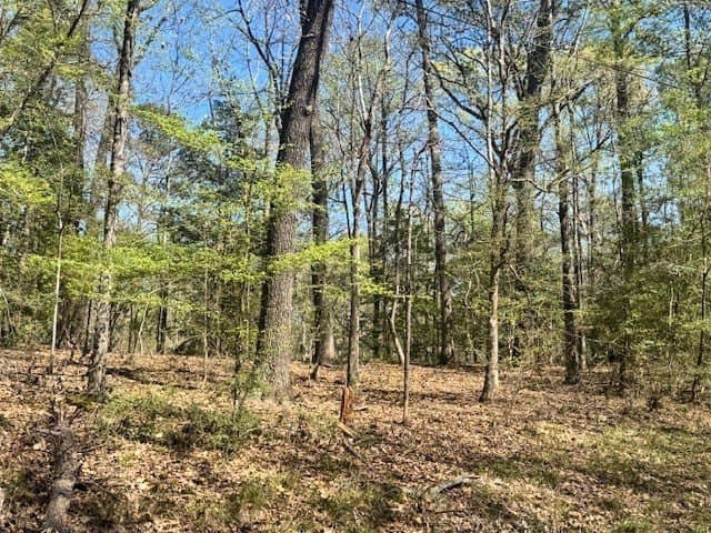 1.09 acres in Texas County gallery image 3