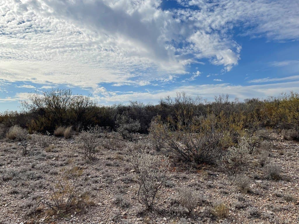 20.38 acres in Maverick County featured view