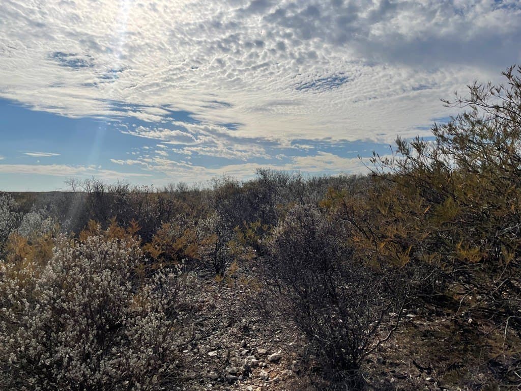 20.38 acres in Maverick County gallery image 4