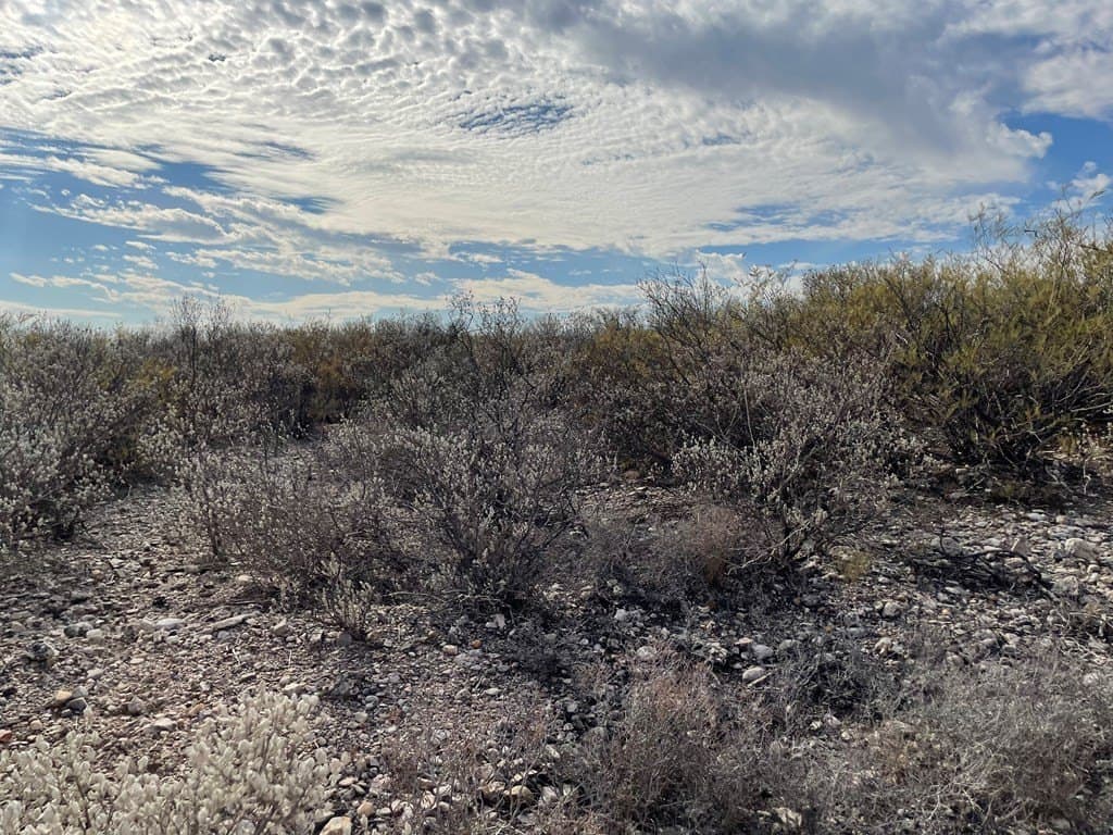 20.38 acres in Maverick County gallery image 2