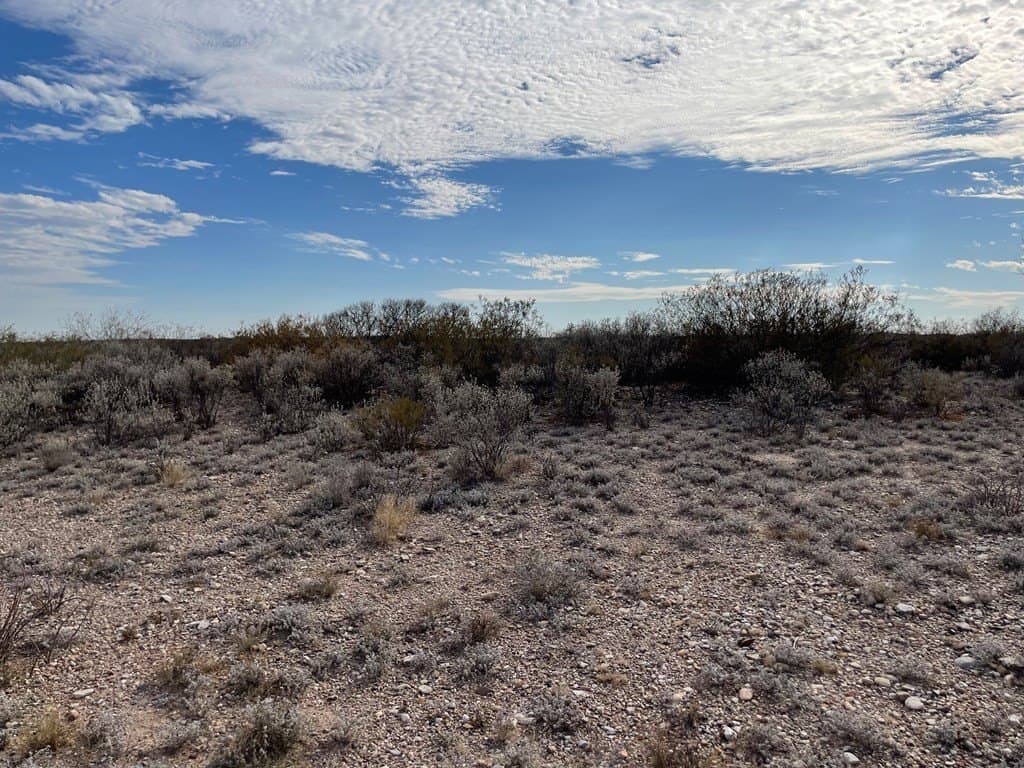 20.38 acres in Maverick County gallery image 3