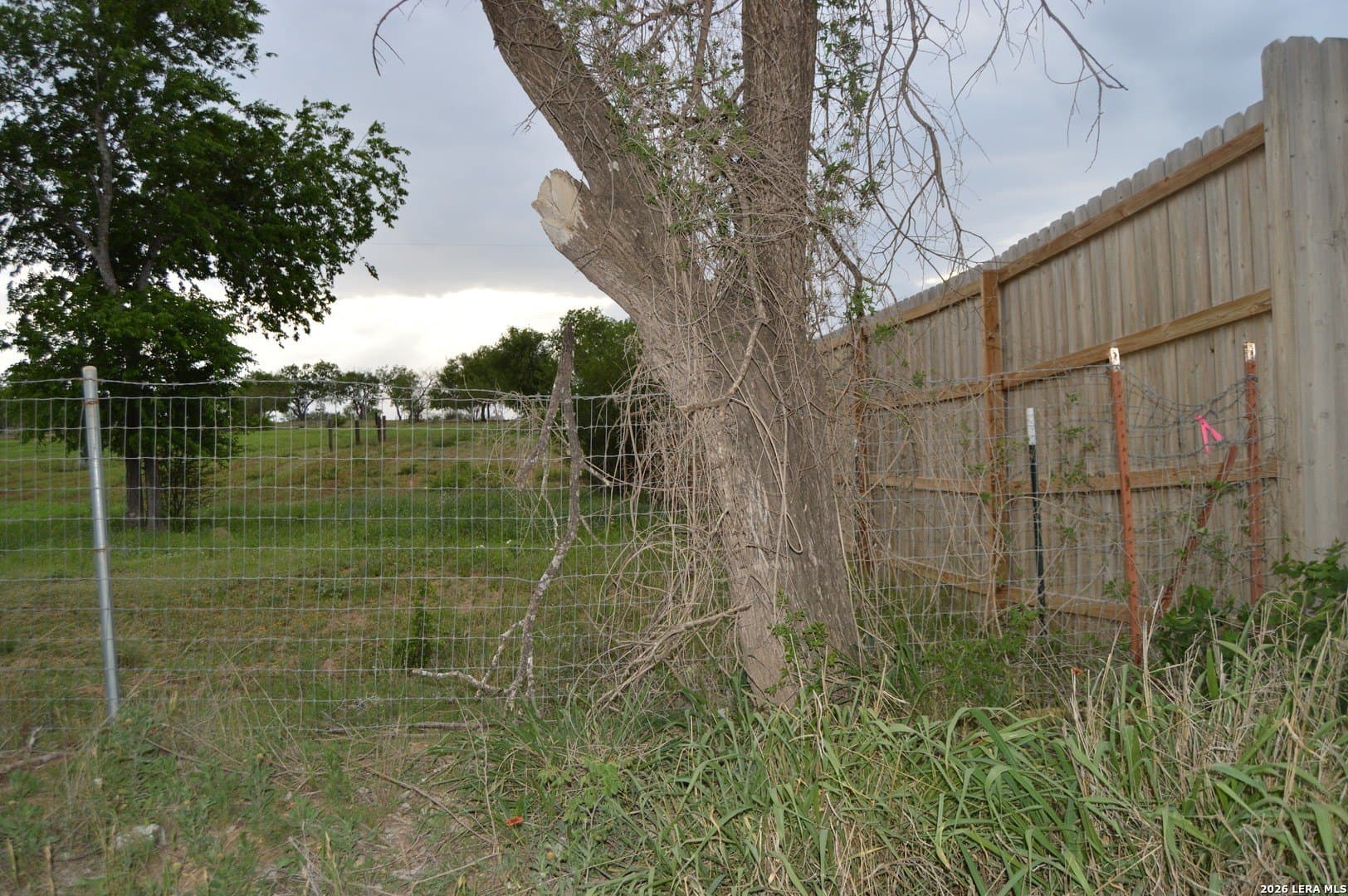 1 acres in Bexar County - photo 7