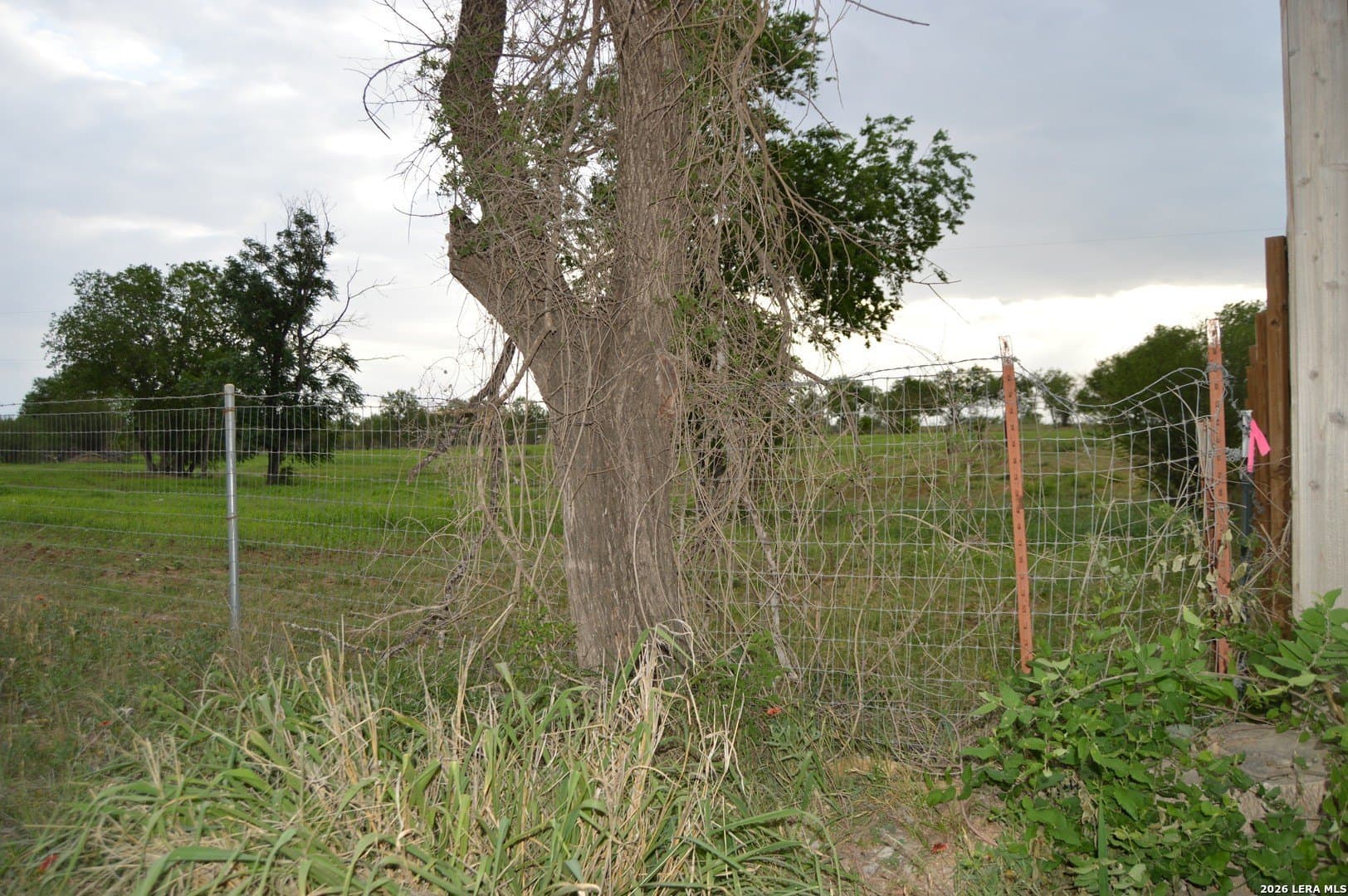 1 acres in Bexar County - photo 8