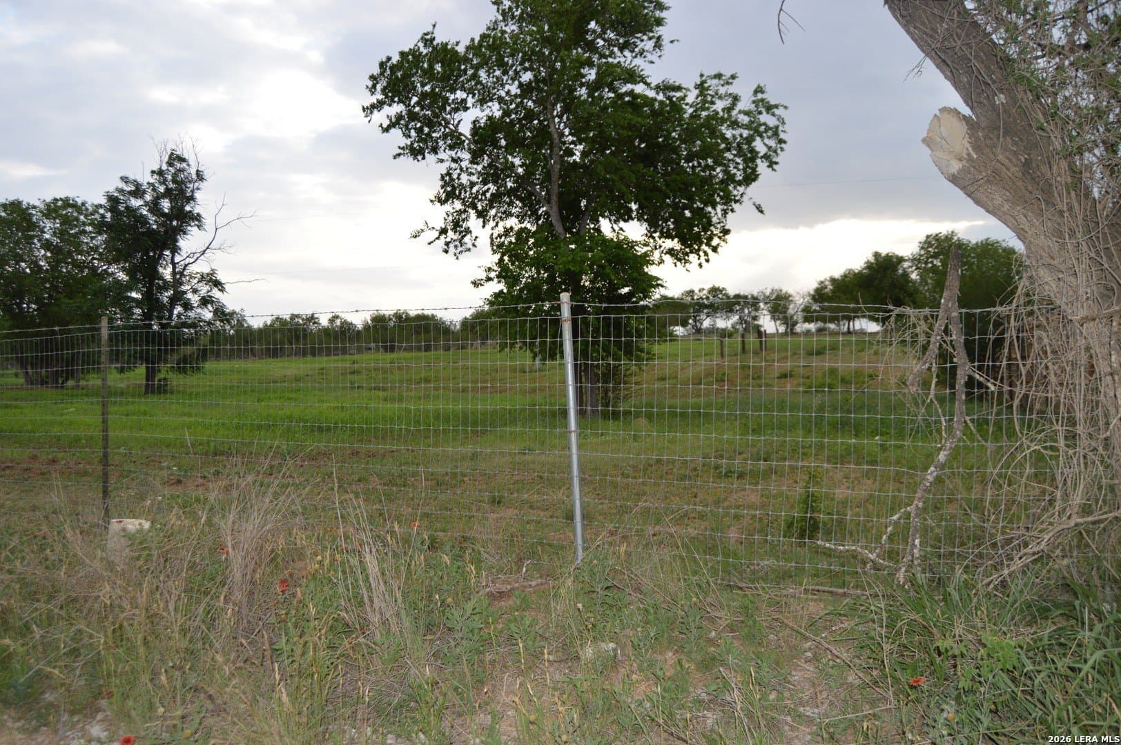 1 acres in Bexar County - photo 6