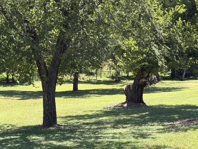 0.31 acres in Llano County gallery image 2