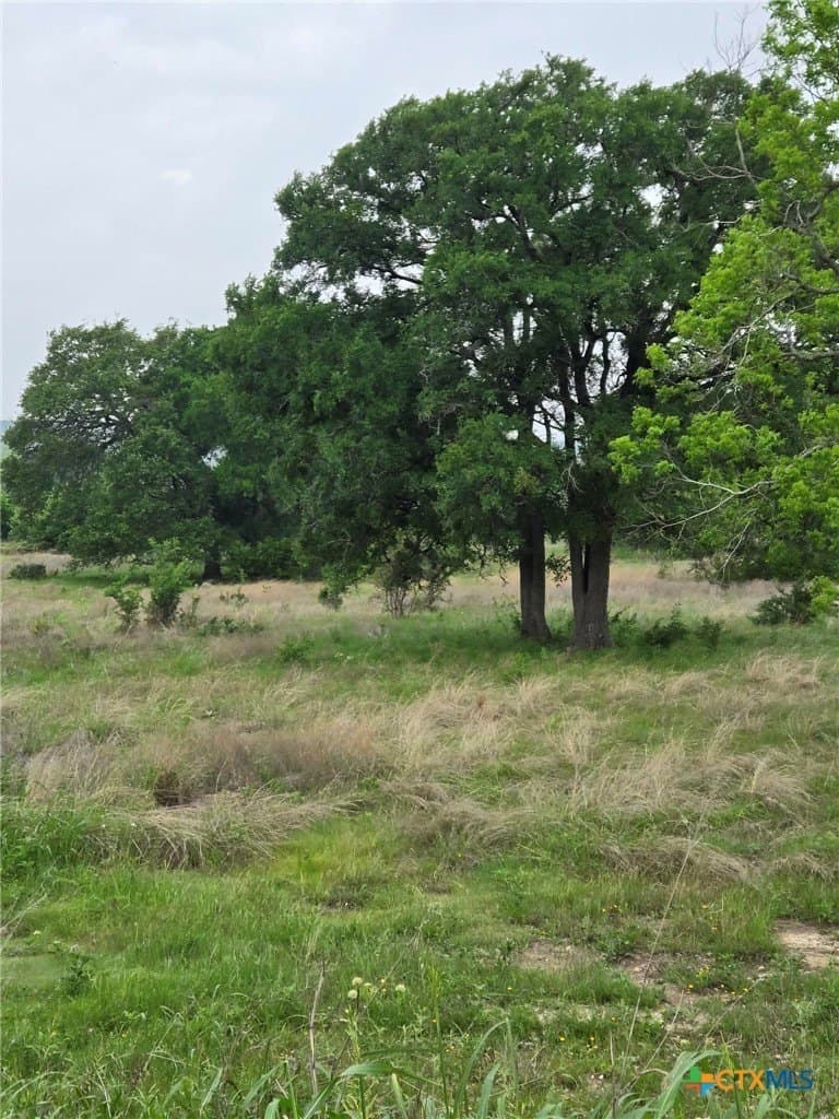 5 acres in Coryell County gallery image 4
