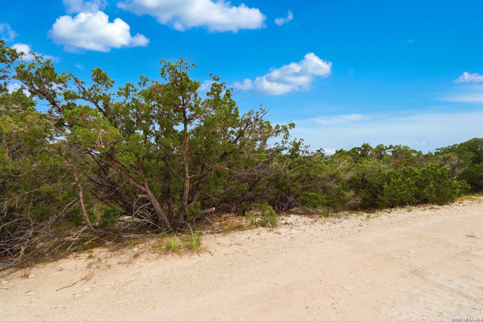 0.39 acres in Comal County gallery image 4