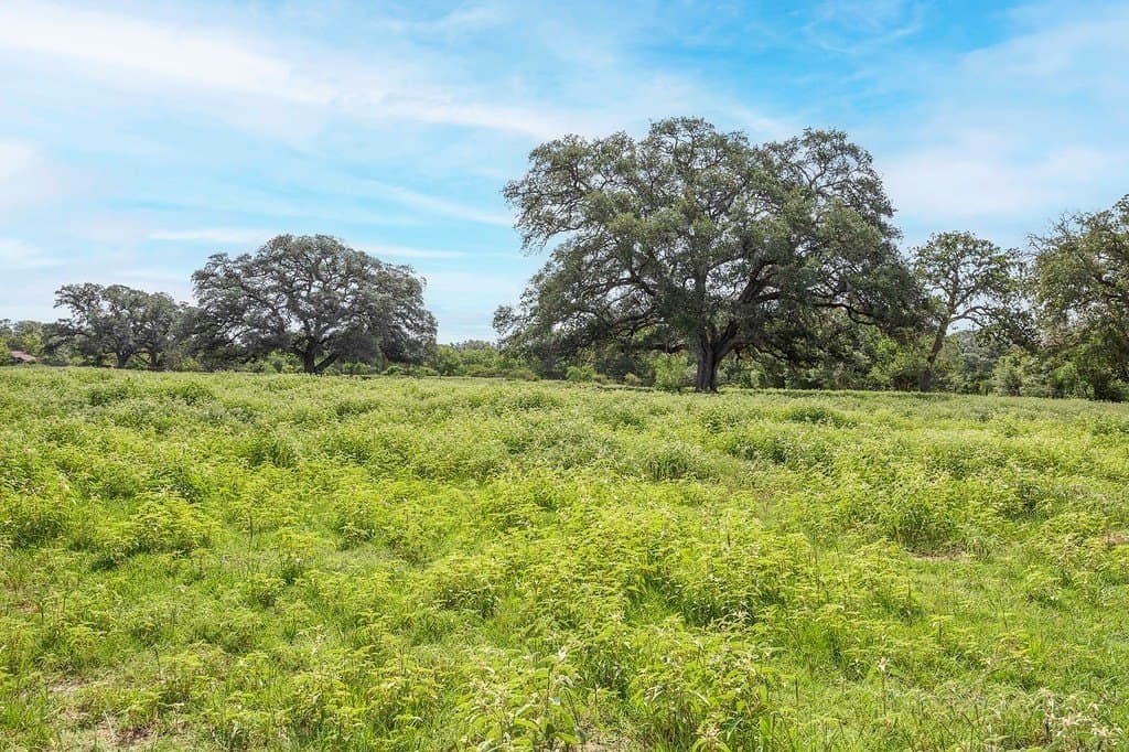 18.73 acres in Lavaca County featured view