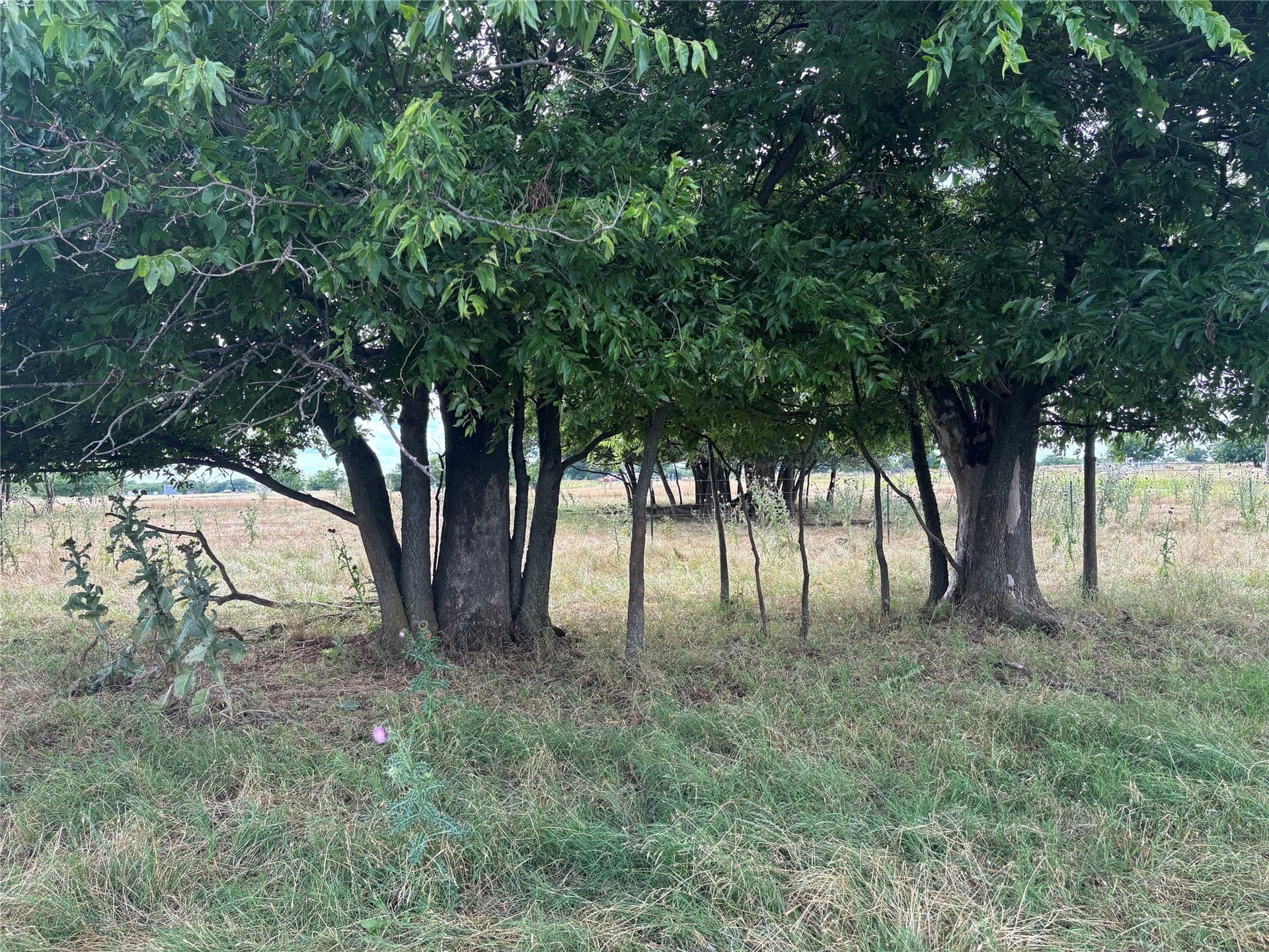210.95 acres in Cooke County - photo 7