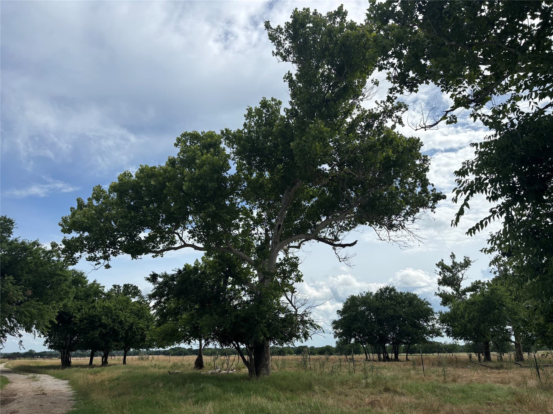 210.95 acres in Cooke County - photo 24