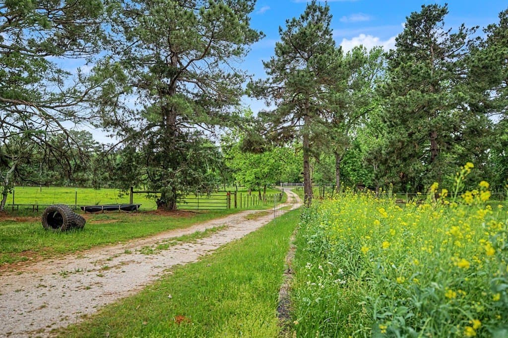 27.69 acres in Texas County - photo 30