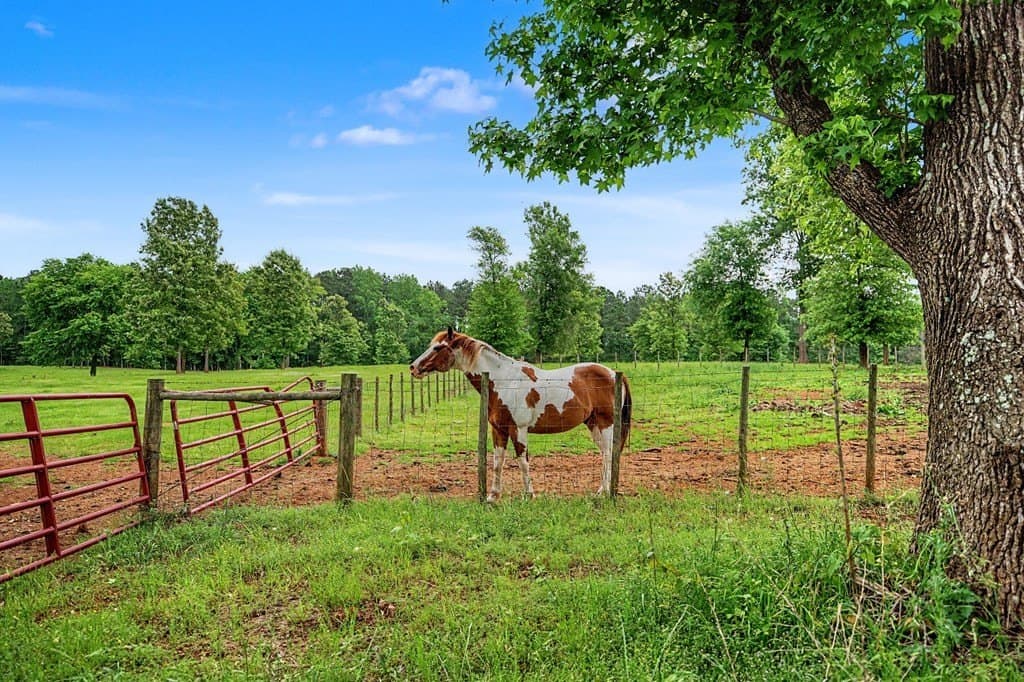 27.69 acres in Texas County - photo 15