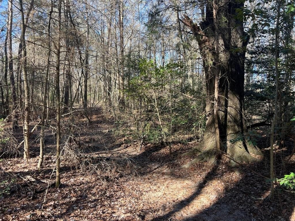 6.89 acres in Cass County gallery image 2