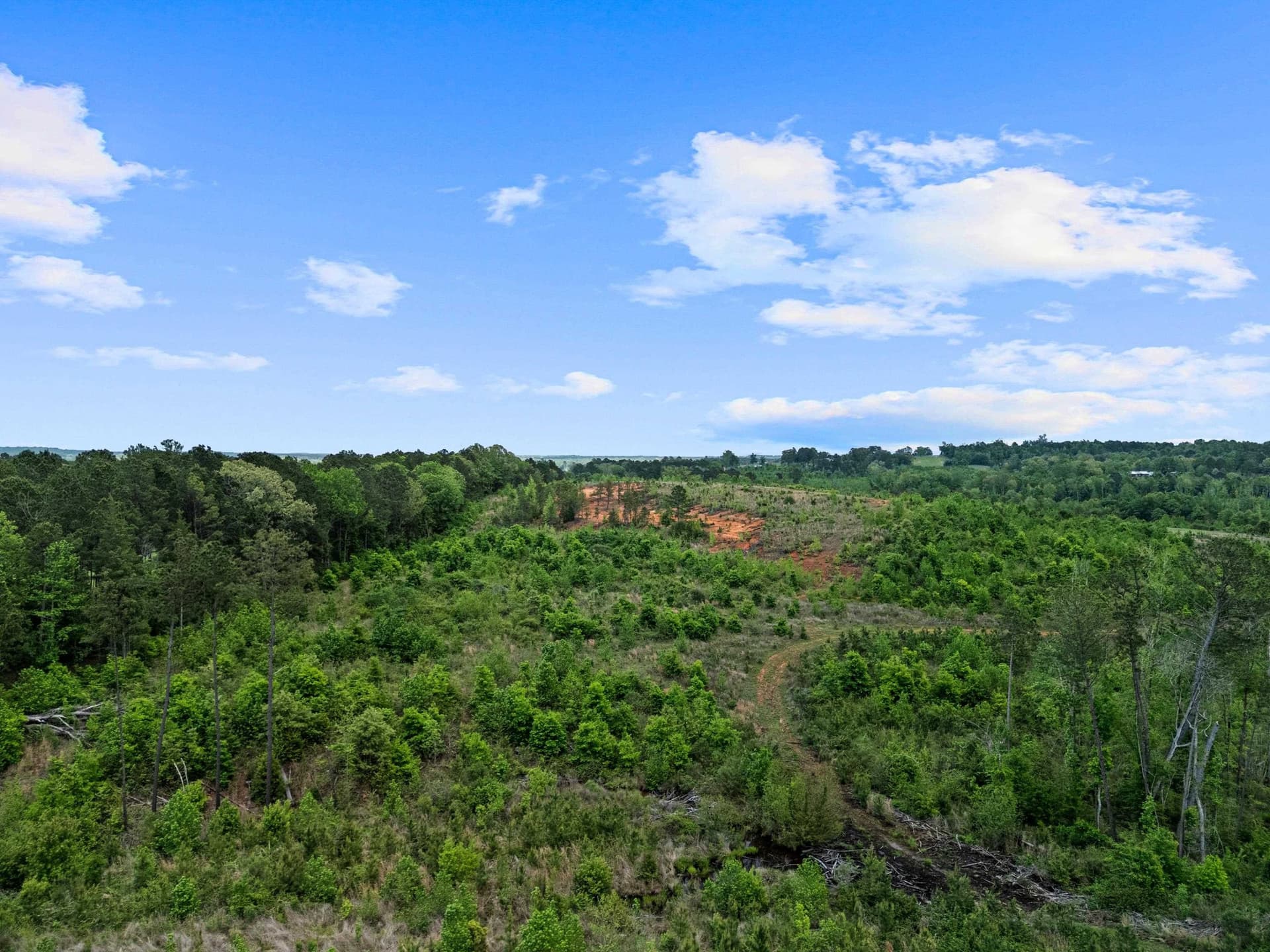 145.05 acres in Marion County - photo 20