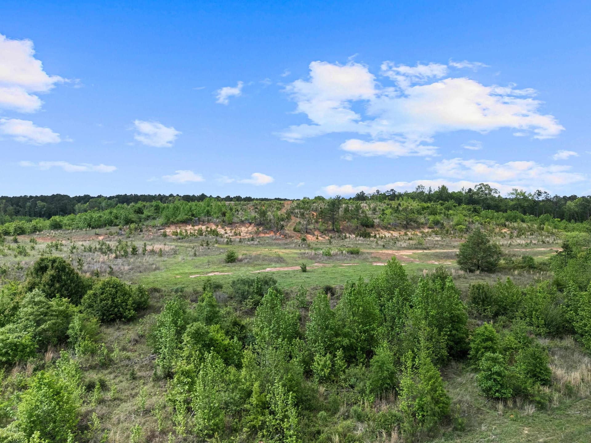145.05 acres in Marion County - photo 14