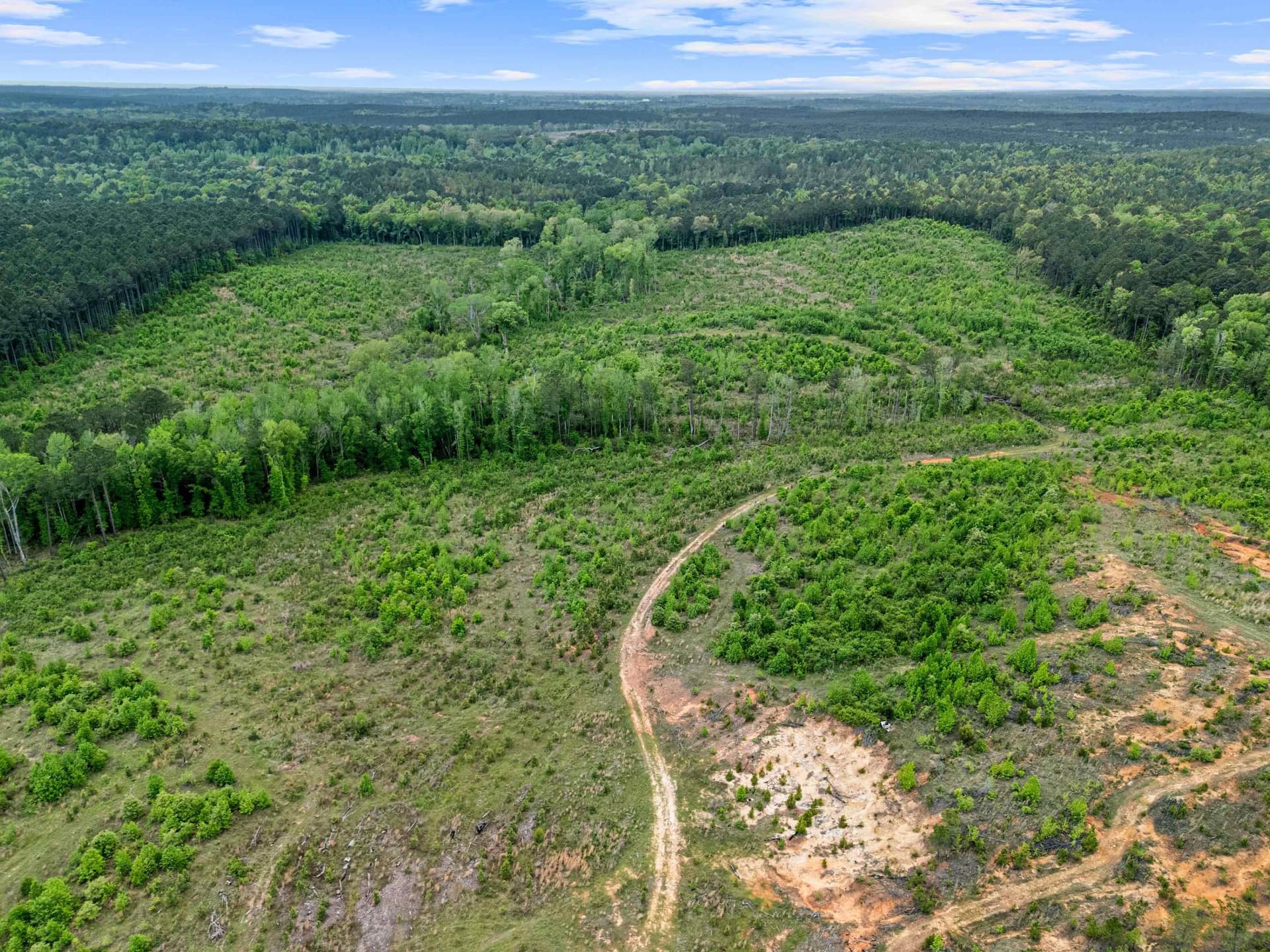 145.05 acres in Marion County - photo 7