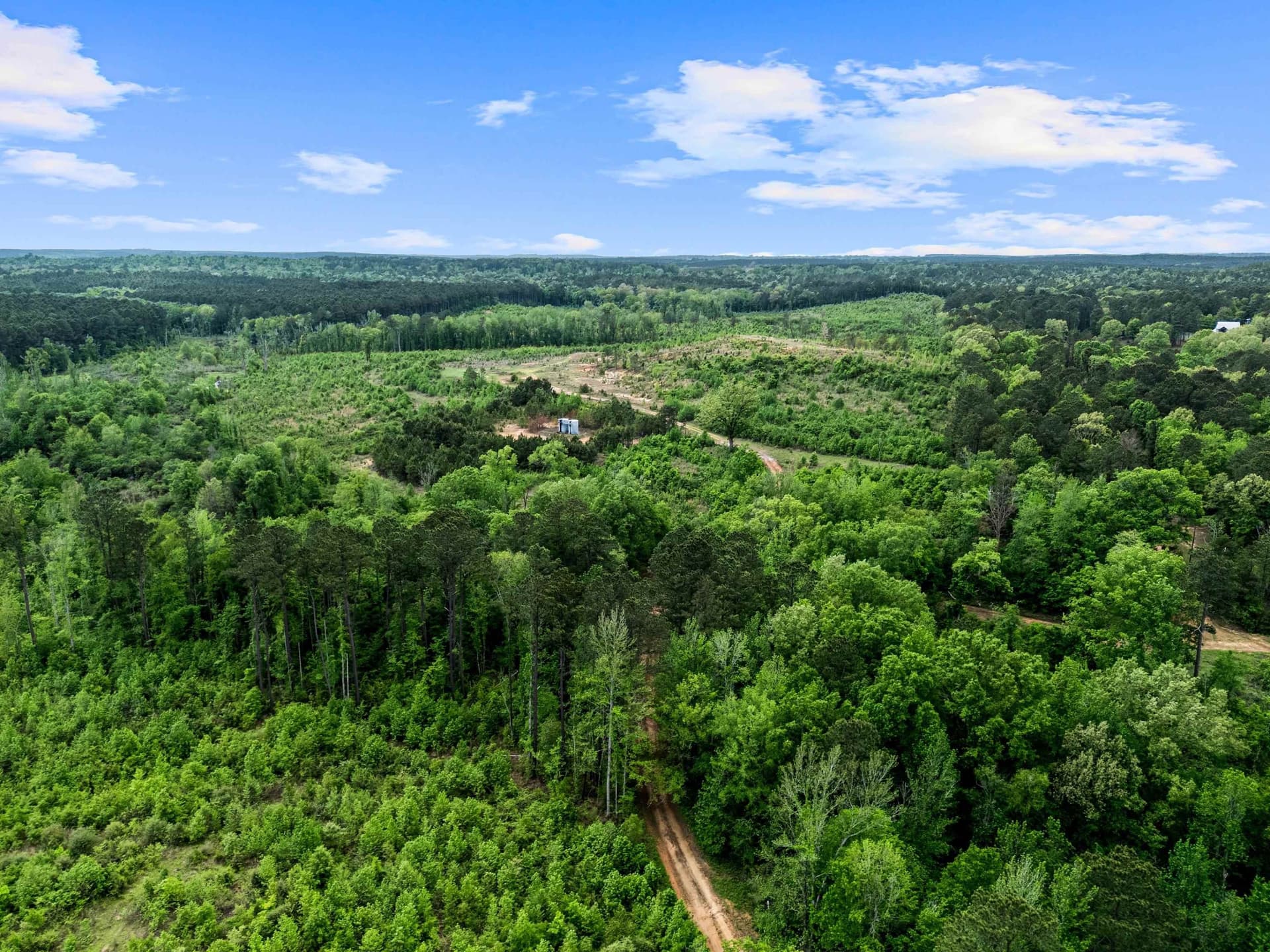 145.05 acres in Marion County - photo 27