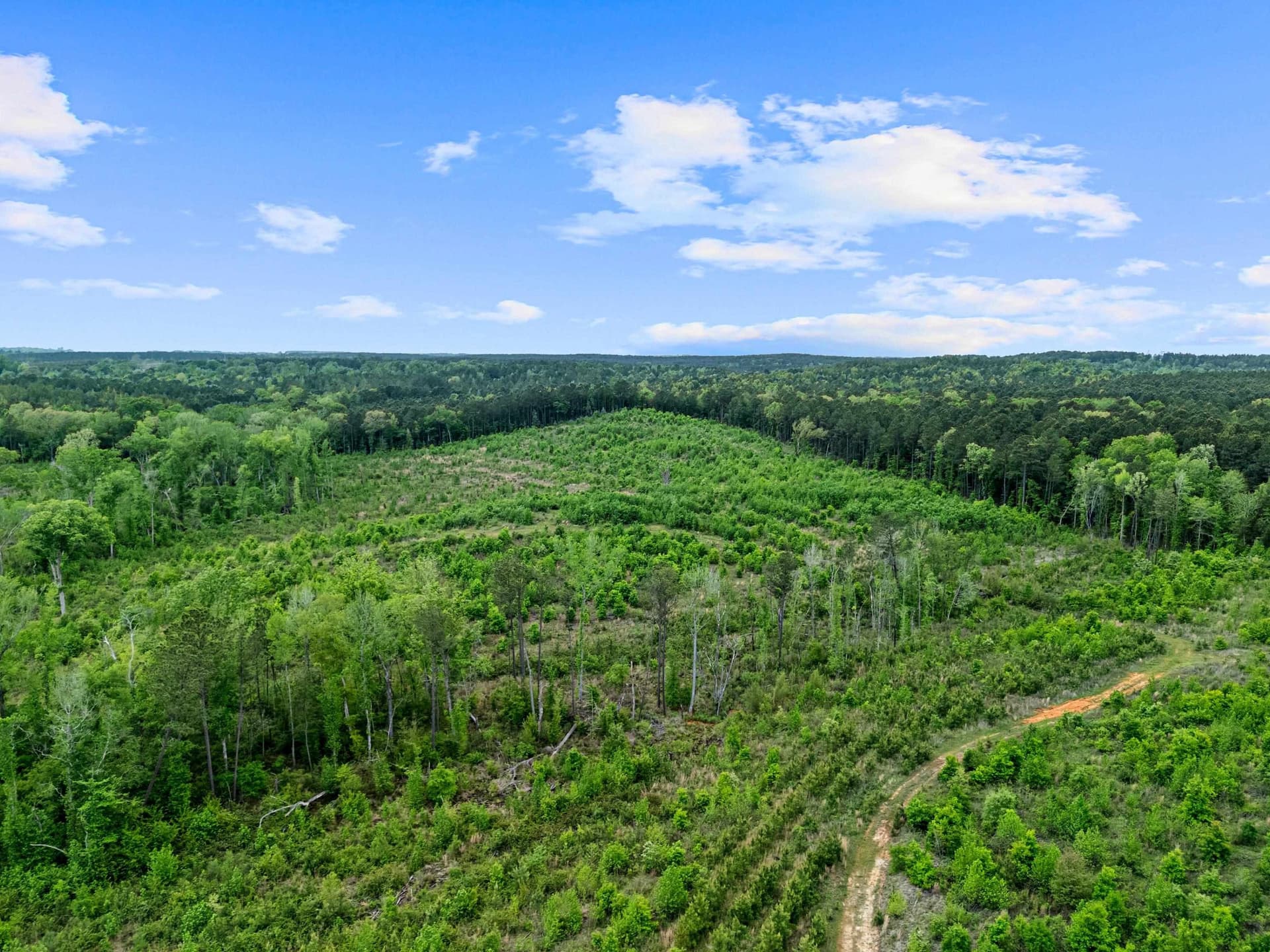 145.05 acres in Marion County - photo 16
