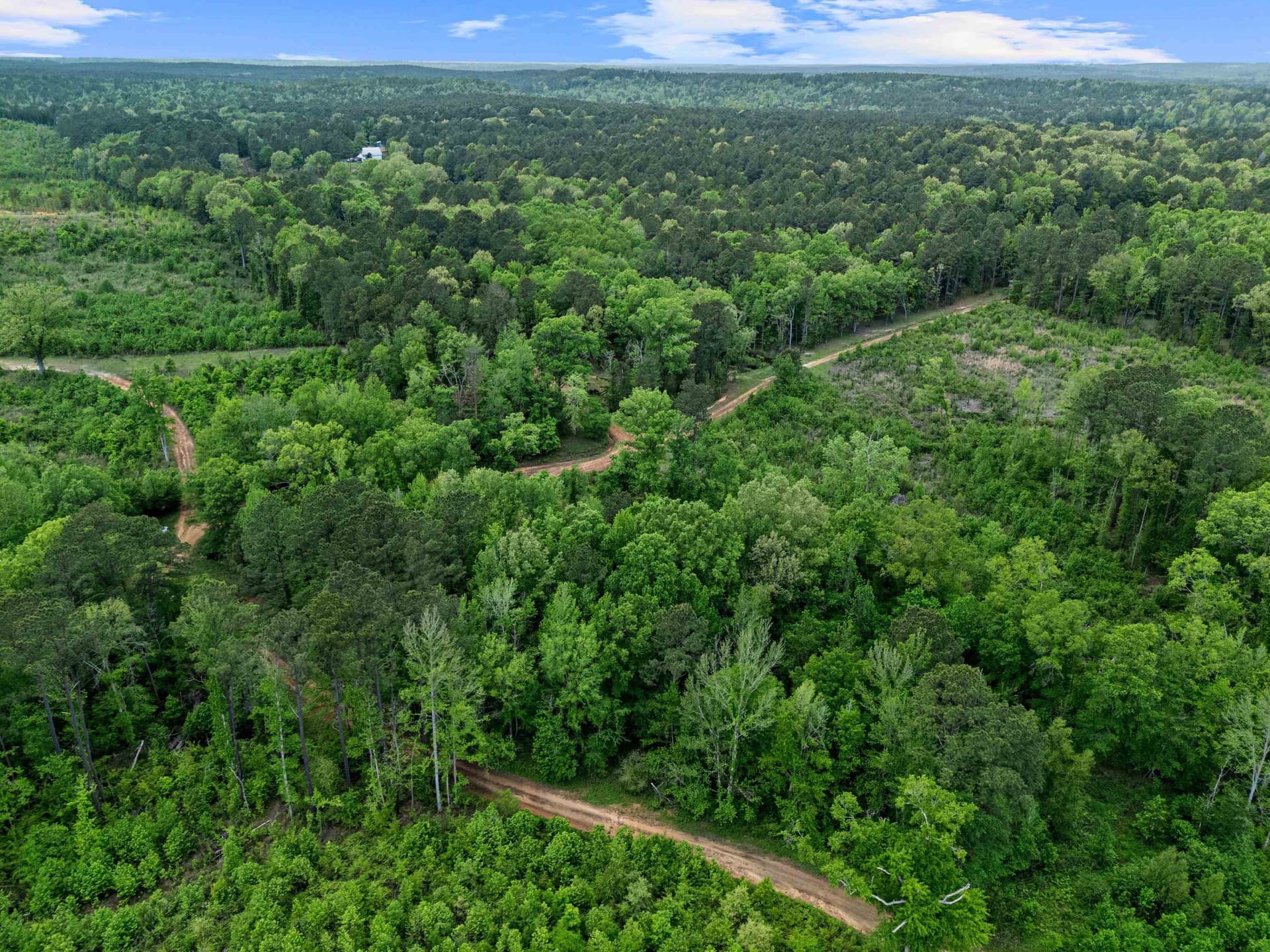 145.05 acres in Marion County - photo 11