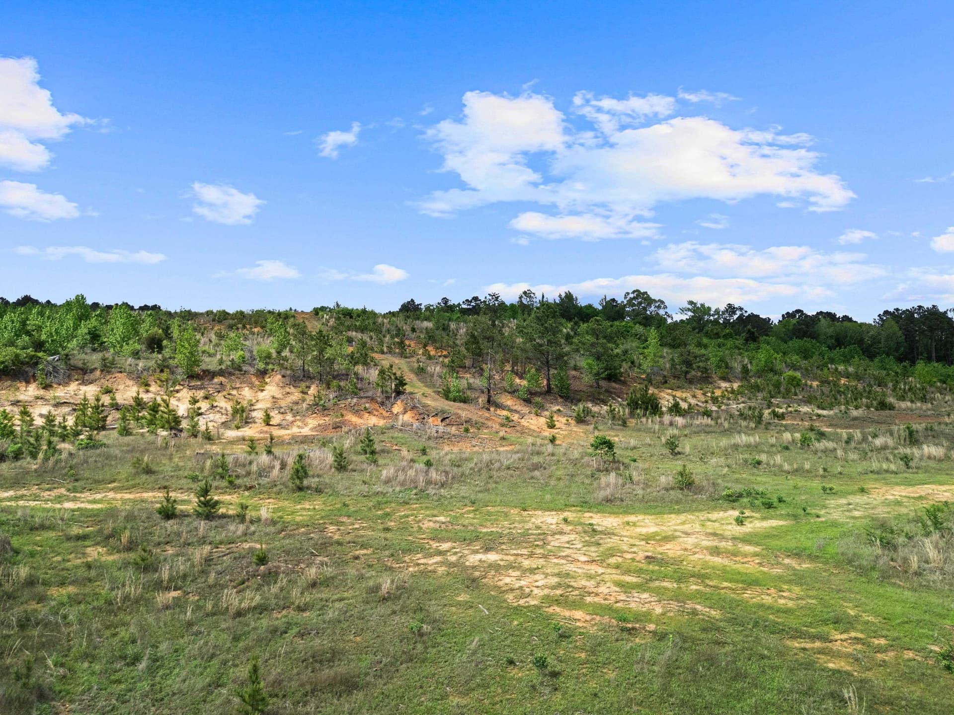 145.05 acres in Marion County gallery image 2