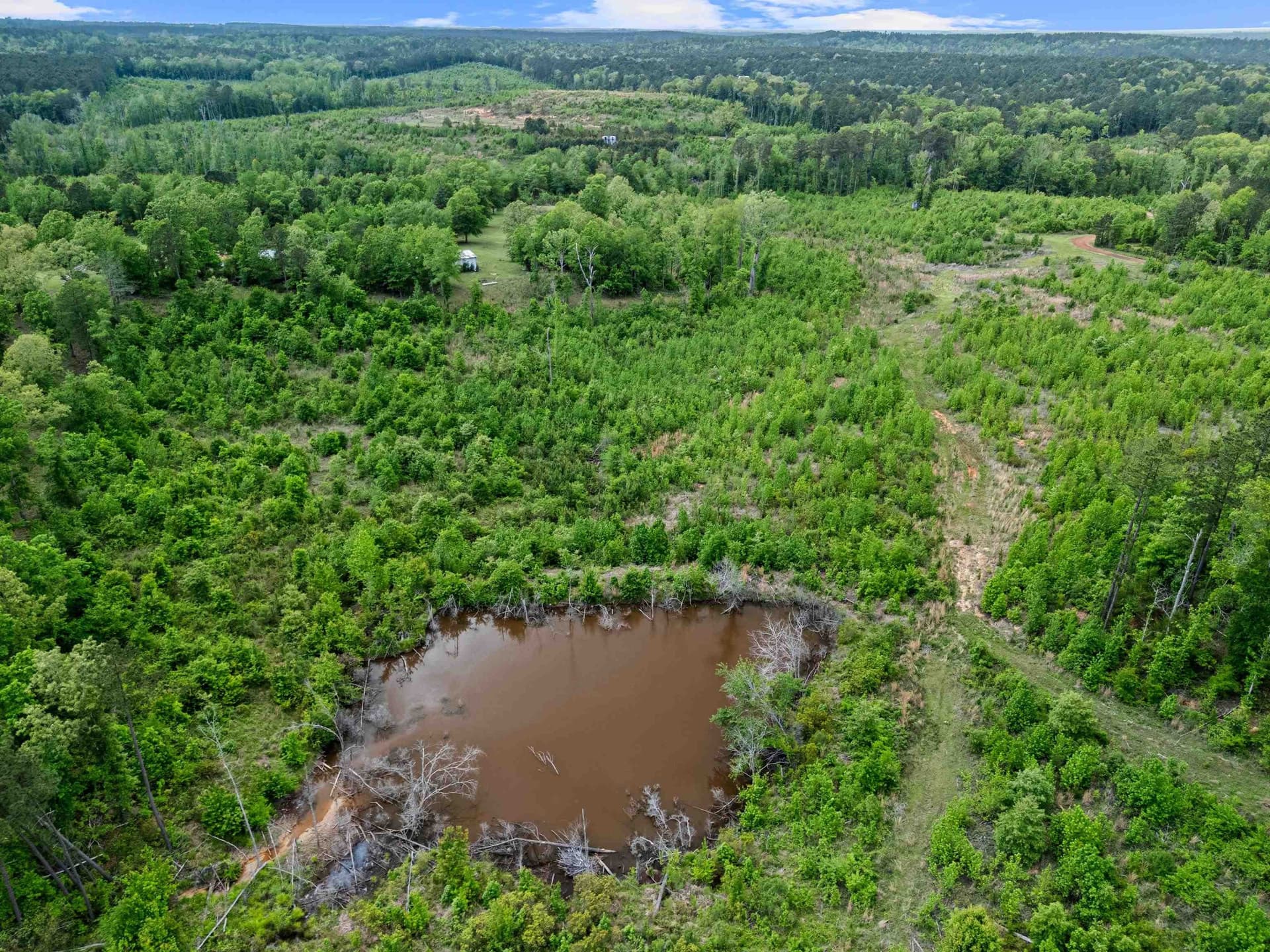 145.05 acres in Marion County - photo 25