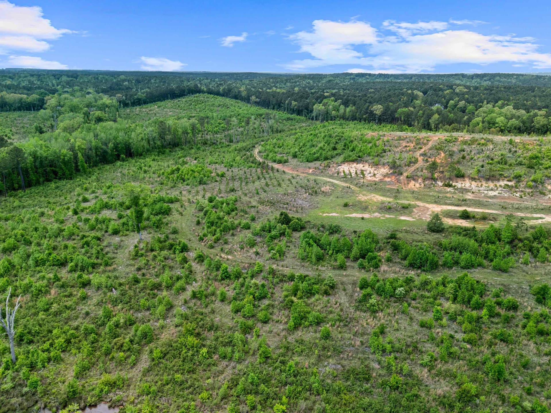 145.05 acres in Marion County - photo 30