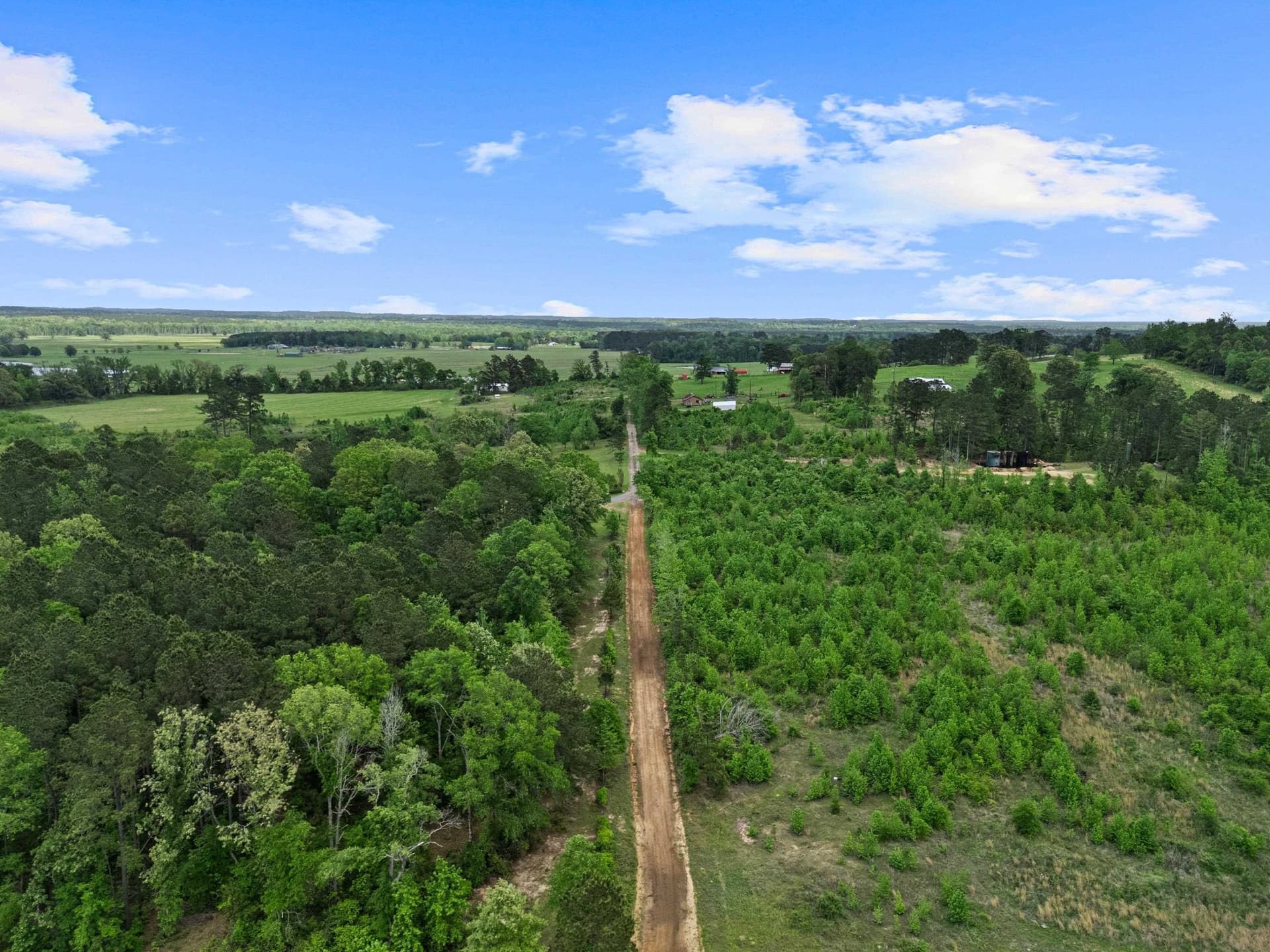 145.05 acres in Marion County - photo 10